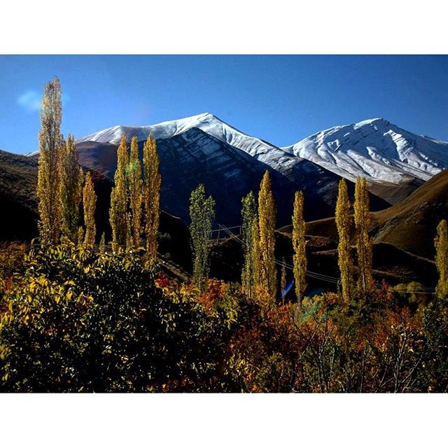 نگاره:  دلتنگیِ هزاررنگ پاییز کوهستان