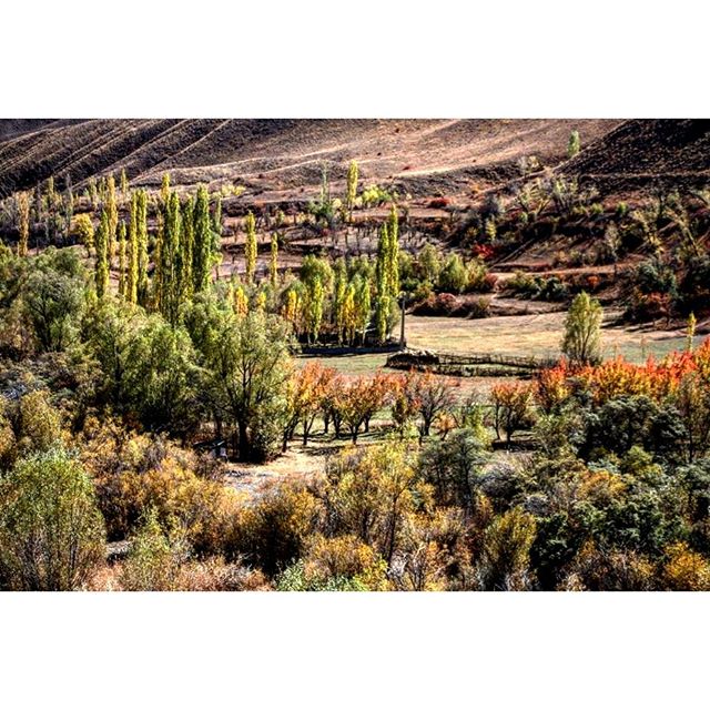 نگاره:  نسیمی نمی‌وزید ابری نمی‌رفتزمان متوقف شده بود