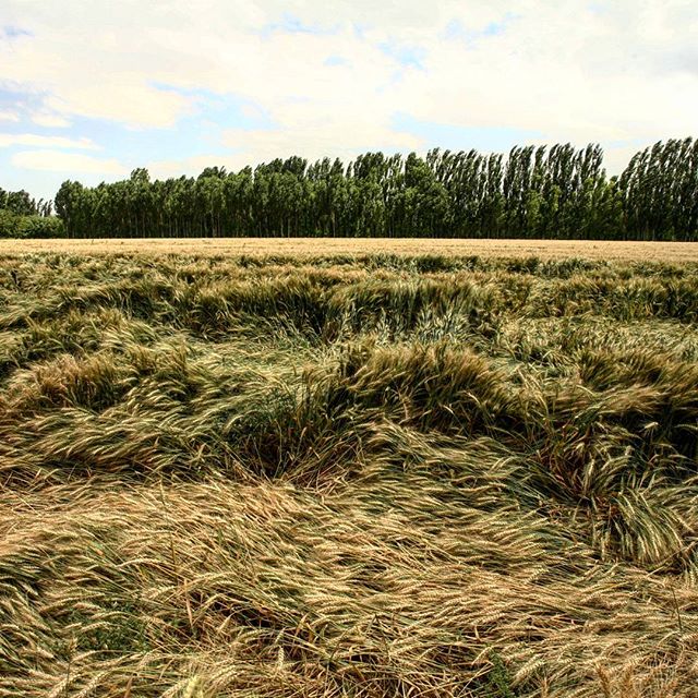 نگاره:  آسمان ابر زمین