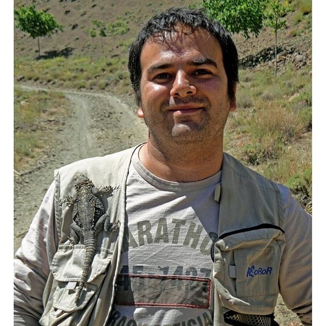 نگاره:  به زیستگاه حیات وحش بدل شدم! (توجه شما رو به بالای جیب سمت چپ جلب می‌کنم)