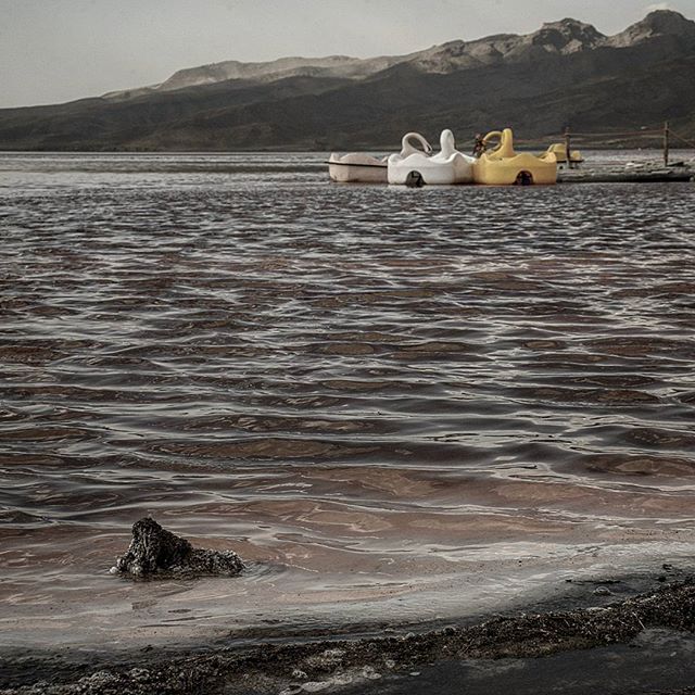 نگاره:  پاشویه‌های سرخ دریاچه ارومیه