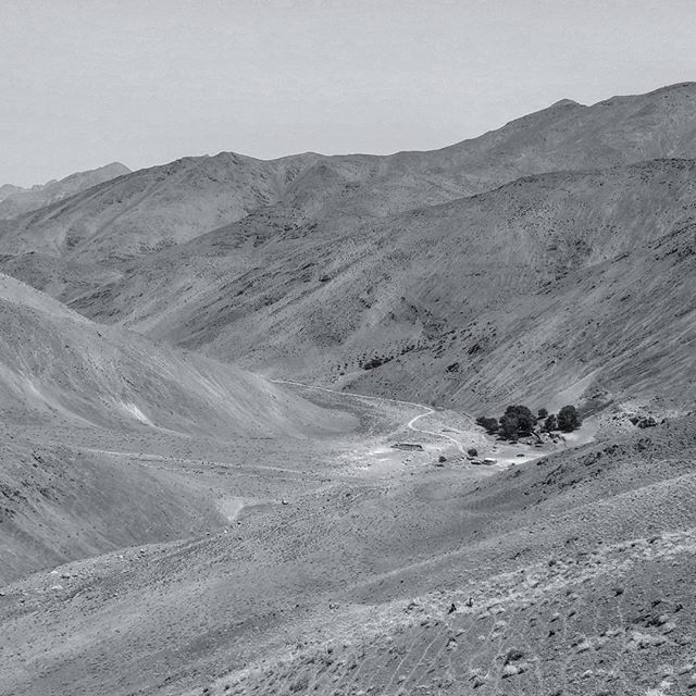 نگاره:  سایه‌ها می‌دانند که چه تابستانی‌ست