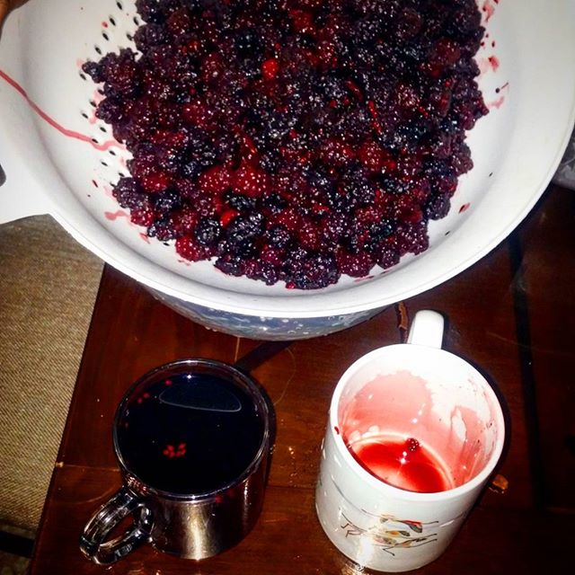 نگاره:  بفرمایید آب #شاتوت تازه از #برزک رسیده