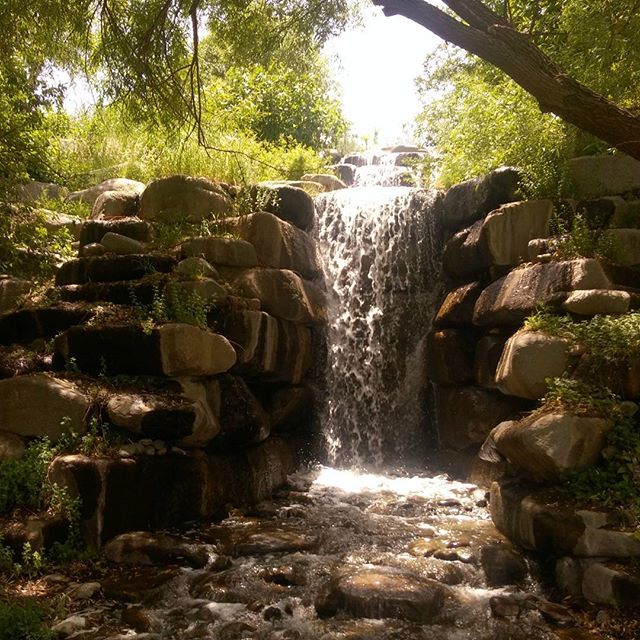 نگاره:  باغ گیاهشناسی ملی ایران