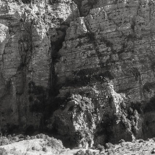 نگاره:  تنِ داغ ِ آفتابِ سنگ‌ها و آبی که از میان سایه‌ها می‌ریخت