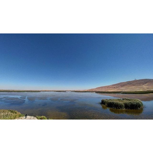 نگاره:  تالاب کانی برازان در مهاباد اینجا یک ماه دیگر میزبان انواع پرندگان مهاجر است