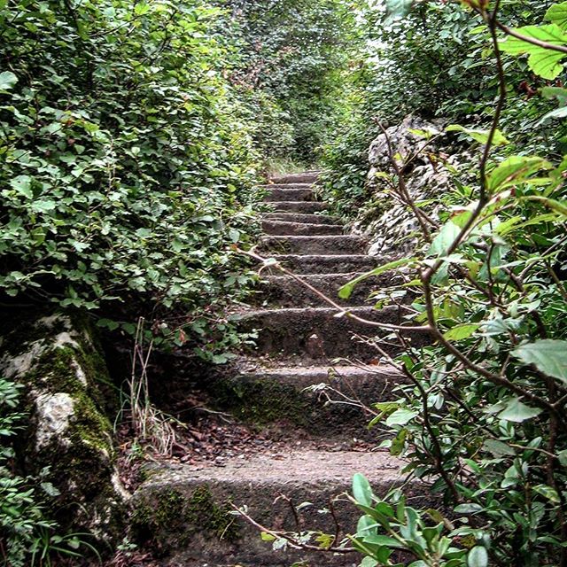 نگاره:  دو طرف، انبوه گیاهان و سایه‌ های رازآمیز بود و زیر پا سنگ سرخ پله‌‌های باستانی مارکوه.  انتهای راه اما، بالای پله‌ها، به افق‌های باز و صدای سهمگین و کوبنده‌ی موج‌ها و به آبی بیکرانه می‌رسید. به دریا!