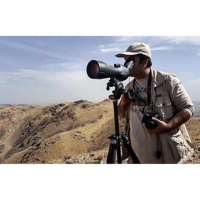 نگاره:  از دور نقطه‌هایی بودند،  لرزان در زمینه سایه روشن طلایی باشگلاز پشت دوربین میشی و بره‌ای، خرم می‌چریدند، فارغ از نگاهی که محو تماشای آنان بود…