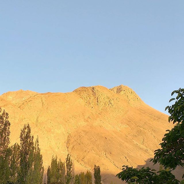 نگاره:  برگ‌ها، سبز و زرد در سایه و آفتاب و کوه زرین و ایستاده بر افق، ذره‌های نور را جذب می‌کردند. مارها آرام آرام به زیر سنگ‌ها می‌خزیدند و نگاهی از میان قاب پنجره به تماشای طبیعتِ هراسانِ سرما بود. تابستان، به راستی، تمام شده بود…