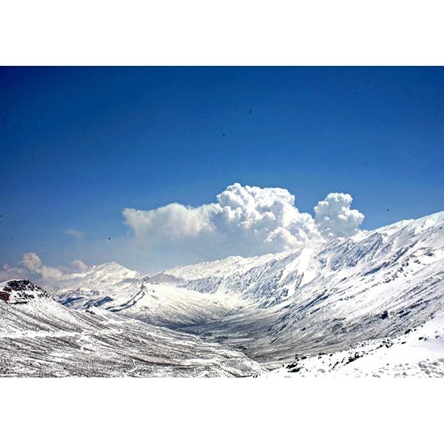 نگاره:  برف باشد بر سنگ، از تو که بر فراز چکادی ایستاده‌ای تا افق که در ابری سفید گم شده است و این‌ها همه زیر آسمانی آبی، آبی، آبی نقش شده باشد و یادت برود که انگشتانت سِر شده و نفس نداری که ها کنی‌شان و پاهات داخل پوتین‌ها آتش شده‌اند و تو در سکوت، باد، سکوت ایستاده باشی محو تماشای سوز و سکون و آسمان…