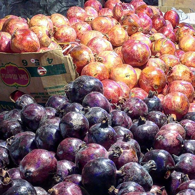 نگاره:  شلوغ بود. یکی قاشقکی از عسل کوهستان می‌چشید، یکی تند تند زردچوبه در کیسه می‌کرد، مادری فرزندش را کشان کشان می‌برد و پسران نوجوان که با موج جمعیت تاب می‌خوردند چهره‌ی دیگران را سرک می‌کشیدند. جایی در کرانه‌ی این هیاهو، انارهای سرخ و سیاه نوبر، به انتظار و خمیازه، لمیده بودند…