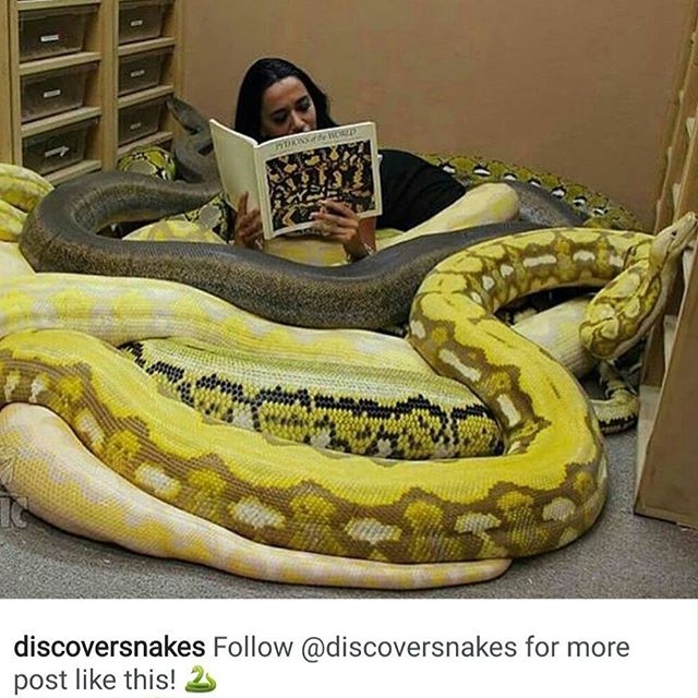 نگاره:  مطالعه کردنی این چنین؟از زندگیم راضی بودم،تا قبل از دیدن این عکس… http://t.me/masoudborbor