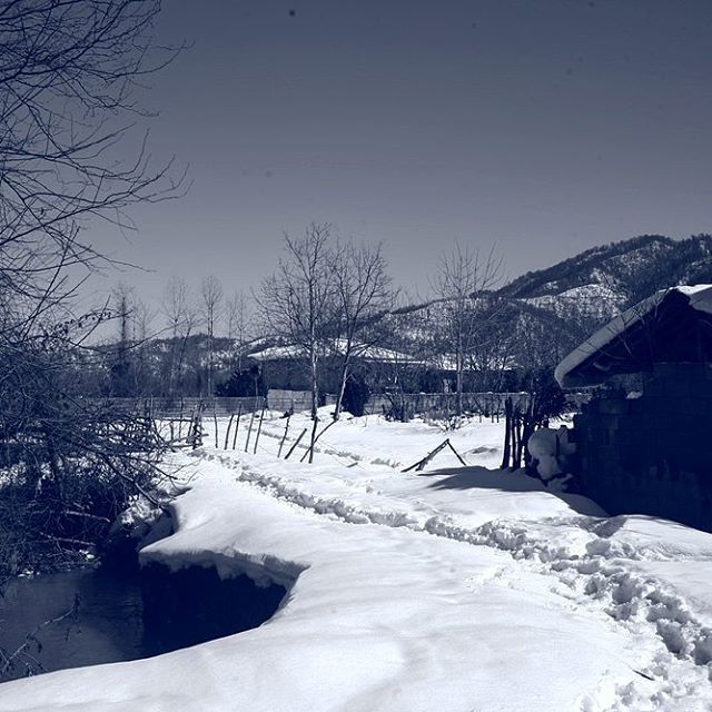 نگاره:  آنجاست، به روشنیِ برف: آن که نمی‌بیند پلک‌ها را فروبسته است. برای دلیلی از دست رفته می‌جنگد و در راهی رها شده می‌میرد.لحظه‌ها بر لبه‌ی زمان می‌گذرند. هرچه بیشتر خیره بمانی، تندتر می‌گریزند. چیزهایی هم هستند که‌ همیشه می‌مانند… و این نبرد توست، که تو را گریزی از آن نیست.