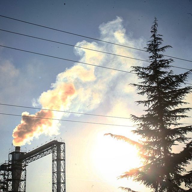 نگاره: من برای تو