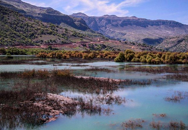 نگاره: چشم‌انداز پریشان تالاب‌های ایران