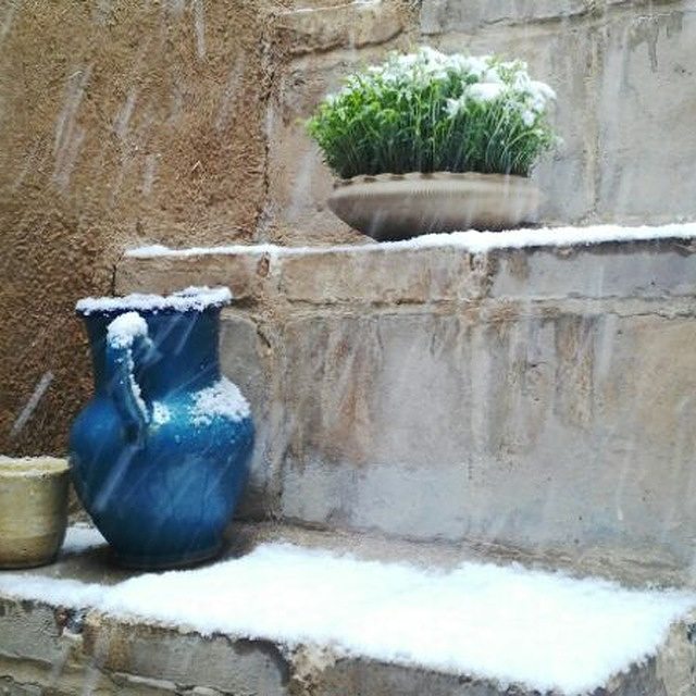 نگاره:  نوروز