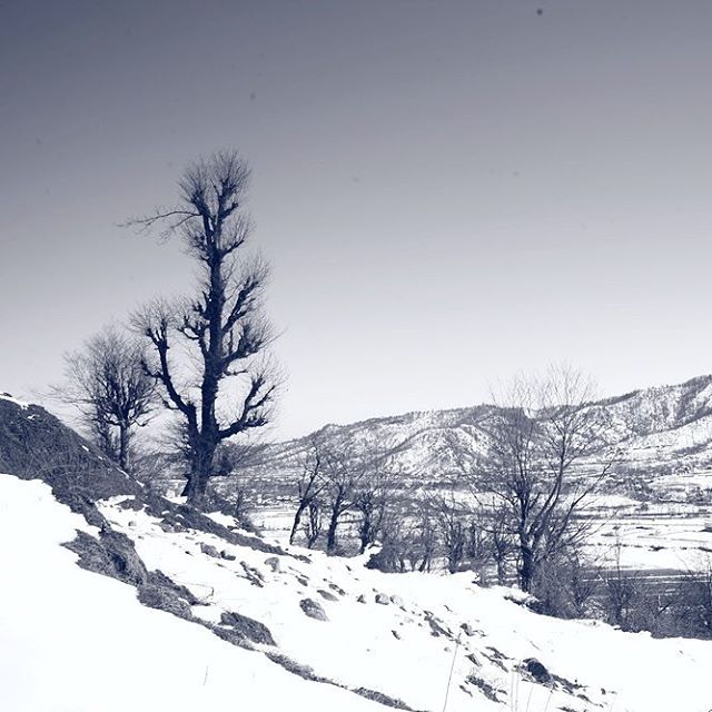 نگاره:  آرامی و دلنشینمثل صدای آب شدن برف و نفوذ آرام آرامش در میان سنگ‌ریزه‌ها و ریشه‌های تن زمینCalm and sweet you are,Like the voice of melting snow, permeating slowly between the gravels and roots of earth's body.