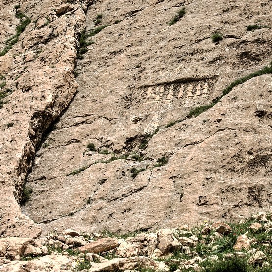 نگاره:  من انتهای صف بودم. پلیس فرودگاه گذرنامه‌ها را با دقت چک می‌کرد و من تمرین می‌کردم مثل صاحب عکس توی پاسپورت لبخند بزنم…I was the last one one the #queue The airport police was checking the passport very carefully. I was trying to smile like the picture of my passport owner, and I was getting it down…