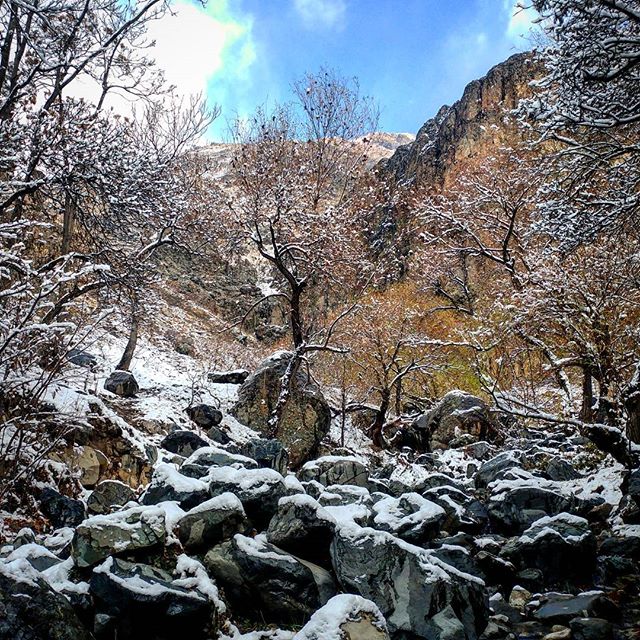 نگاره:  برفِ سبک، بر تن سنگ‌ها و شاخه‌ها ذره ذره آب می‌شد. آسمان آبی‌تر بود، و زمین نفس می‌کشید: تهران تازه تن سبک کرده بود…Light snow, was melting slowly on the body of rocks and trees. The sky was bluer, and the earth was breathing: Tehran, had just lighten it's body