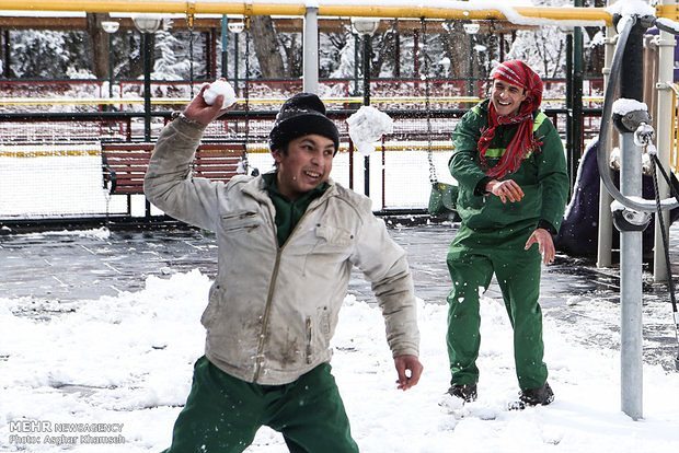 نگاره:  سرخوشانه‌های برفیِ تهرانخبرگزاری مهر، گروه جامعه-مسعود بُربُر: اگر هم شب را بی‌خبر از عالم و آدم به خواب خوش گذرانده باشی، صبح سکوت خیابان و نور تازه‌ای که اتاق را گرفته تا پای پنجره می‌کشاندت: آنجاست، روی لبه‌ی دیوارها کُپه شده، شاخه‌های درختان را خم کرده و حتی سیم‌های برق را انحناهای قشنگ داده است. کلاغی نشسته وسط خیابان و سرش را این سو و آن سو می‌چرخاند. دو قدم جفت‌پا می‌پرد و خیره می‌ماند به سفیدیِ نرم که همه جا را گرفته است، به برف.شال و کلاه را از دور از دست‌ترین جای خانه بیرون می‌کشی و به خیابان می‌روی. در کوچه، کارمندانِ آخرین سال‌های پیش از بازنشستگیِ بخش اداریِ شرکت‌ها هم آمده‌اند بیرون به برف‌بازی. پیرمردی، کلاه لبه‌دار به سر و چوب‌به‌دست، برف روی شاخه‌های درخت‌ها را می‌تکاند. کودکی یک عالمه گلوله برفی درست کرده و رفته کنار خیابان اصلی که برخلاف همیشه تنها گاهی از آن خودرویی می‌گذرد. کودک هیچ خودرویی را از گلوله‌های برفی بی‌نصیب نمی‌گذارد. در شیشه‌ی چشم‌های پیرزنی که کنارش ایستاده و از او مراقبت می‌کند رؤیای کرسی زغالی منعکس شده و خیال پختن آش رشته و شلغم. در پارک‌ها صدای خنده‌های جوان‌ها شفاف و روشن مثل برف توی هوا چرخ می‌خورد، و هر طرف که بخواهد سر می‌کشد. شادی ناب و نایابی در همه چشم‌ها و صداها هست. زمین دلش برای خنده‌ها تنگ شده بود.شب که برسد، جلوی گاری لبوفروشی‌ و باقالی فروشی، جمعیت زیادی ایستاده‌اند. یک پارکبان با میله رنگی نورانی ماشین‌ها را هدایت می‌کند. جمعیت گاهی بیشتر می‌شود و گاهی سرک می‌کشند. دانه‌های برف، آرام، روی موهای خیسِ مردمِ منتظر می‌نشیند. نور نئون قرمز مغازه‌ها چشمک می‌زند. درِ ماشین‌ها با صدای خفه بم و توپری بسته می‌شود و برف، آرام، روی خیابان‌ها، پارک‌ها، ماشین‌ها، مردم و درخت‌ها، می‌نشیند. فردا برف بر تن سنگ‌ها و شاخه‌ها و دیوارها ذره‌ذره آب می‌شود و زمین سبک‌تر است.فردا آسمان حتماً آبی‌تر است و تهران نفس می‌کشد.https://www.mehrnews.com/news/4212027/عکس: اصغر خمسه