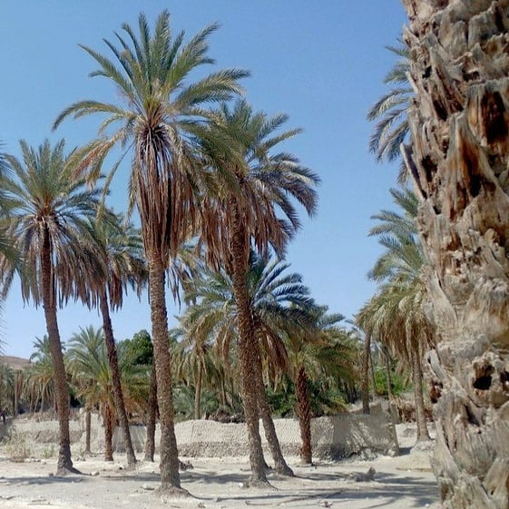 روز دوم سفر به بلوچستان