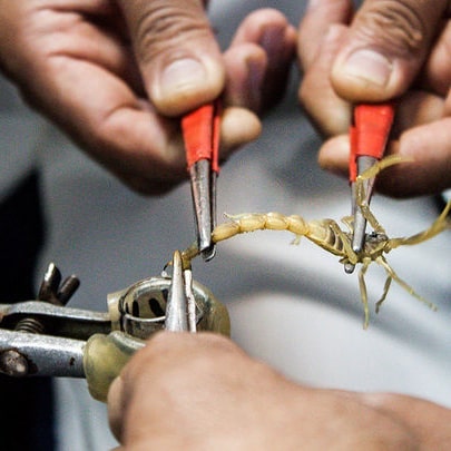 نگاره:  می‌گویند هر گرم زهر #عقرب را ۸ میلیارد تومان می‌خرند و  با گذراندن یک دوره آموزشی دو روزه می‌توانید مرکز پرورش عقرب راه بیاندازید!گفتگویم با #علیرضا_زمانی را در این باره در #مهر بخوانید:mehrnews.com/news/4359823