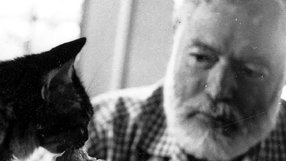 حالا یک قایق دیگر: شروع داستان با همینگوی