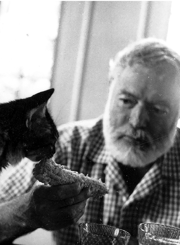 حالا یک قایق دیگر: شروع داستان با همینگوی